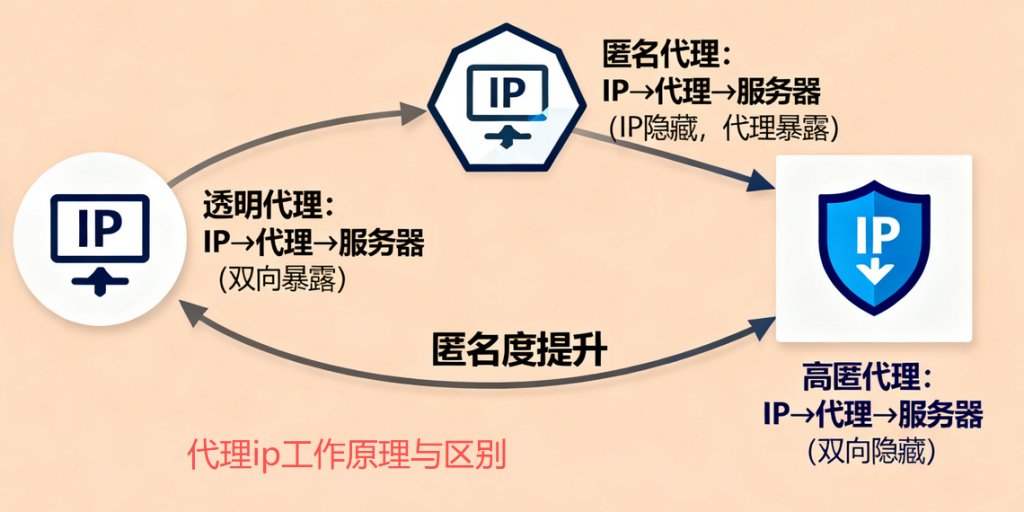 代理IP的来源种类有哪些？